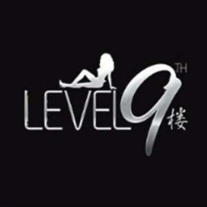 level 9 logo